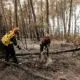 les-principaux-incendies-contenus-avant-une-nuit-d’orages-perilleuse