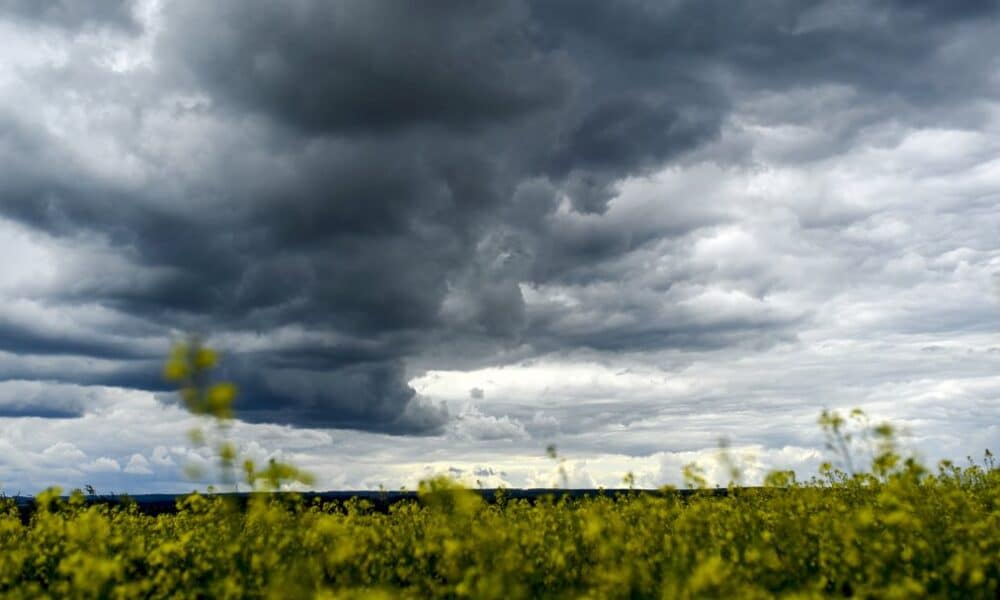 un-« avion-fantome »-autrichien-s&rsquo;abime-en-mer-au-large-de-la-lettonie