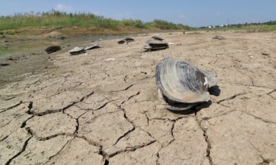 les-engagements-climat-« tres-loin »-de-repondre-a-l&rsquo;objectif-de-1,5°c,-alerte-l&rsquo;onu