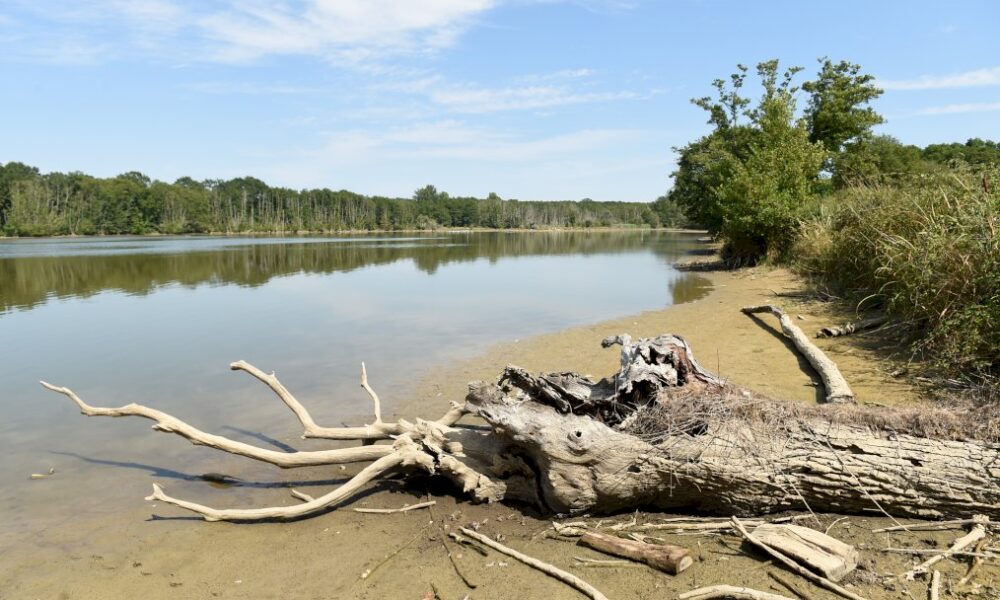 france:-entre-canicules-et-covid,-un-ete-2022-meurtrier