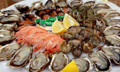 Suspension provisoire de récolte et de commercialisation des huîtres, des moules et des palourdes de l’étang de Thau