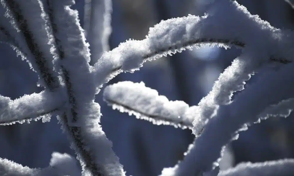 Météo France annonce un retour de l’hiver pour ce dimanche 15 janvier