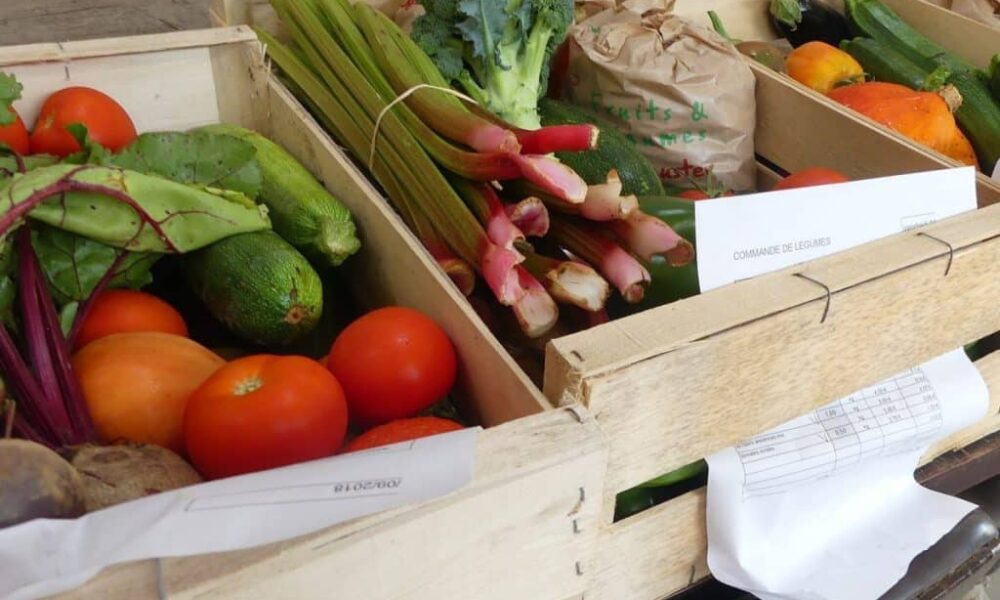 La Région adopte de nouveaux dispositifs pour soutenir la solidarité alimentaire