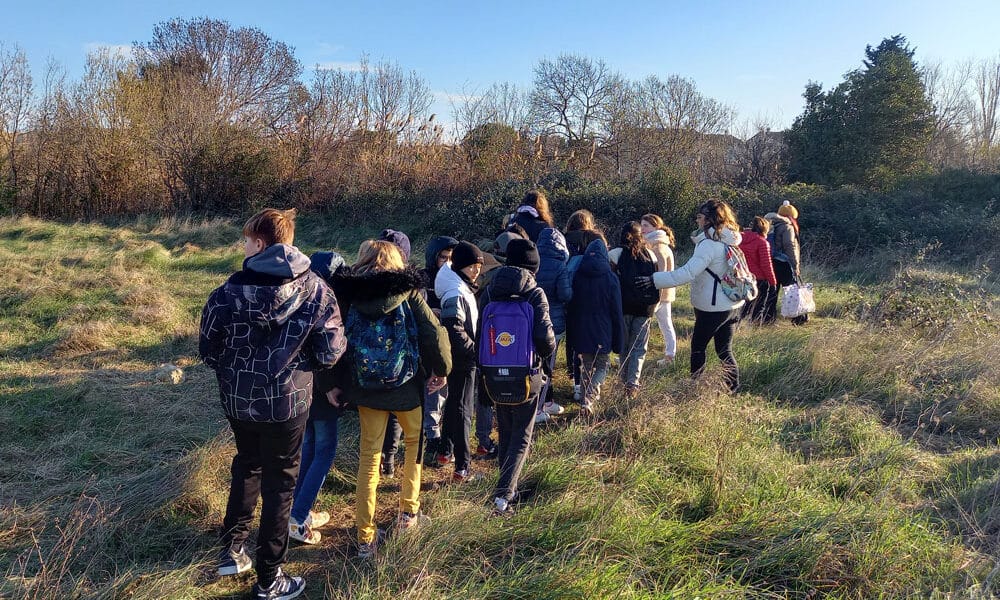 Mèze : des écoliers-citoyens proches de la nature