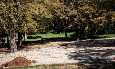 Femme retrouvée morte aux Buttes-Chaumont : le corps a été identifié