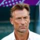Equipe de France : Hervé Renard nommé nouveau sélectionneur de l’équipe de France féminine