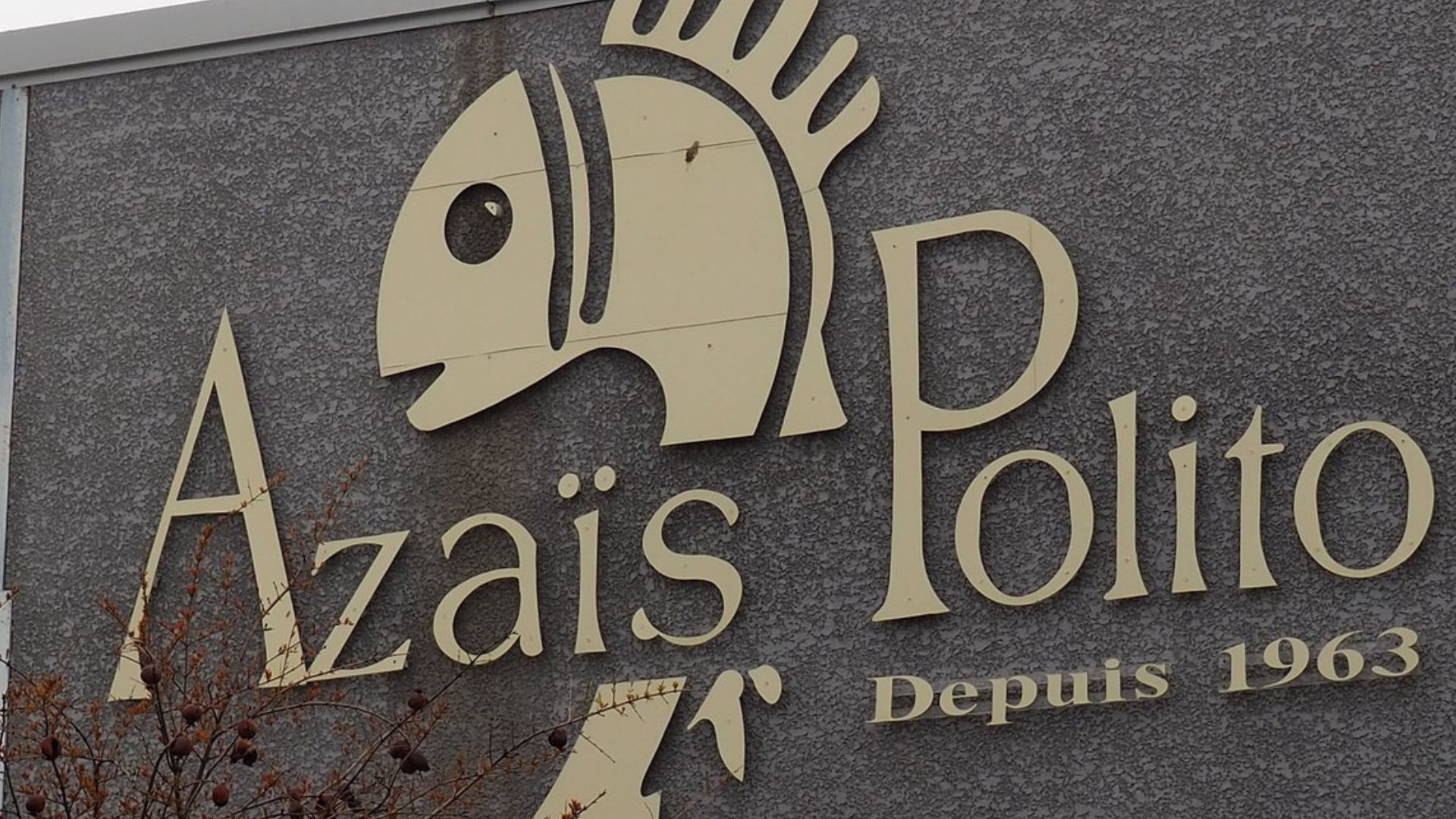 Azaïs-Polito, la conserverie sétoise emblématique, s'engage pour le futur en intégrant le programme régional de l'Industrie du Futur