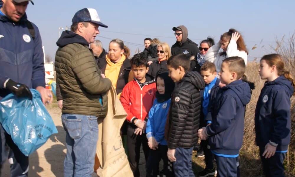 Marseillan-Plage s'engage pour l'environnement : Les chiffres clés d'une opération de nettoyage réussie