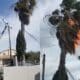 Tempête Larisa : un palmier prend feu à Marseillan à cause des vents violents
