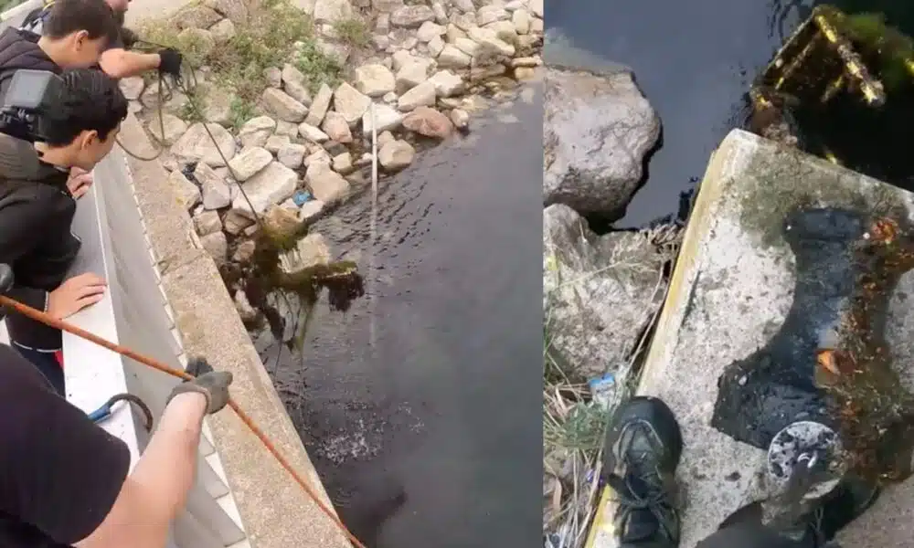 Des youtubeurs pêcheurs à l'aimant à Sète révèlent une décharge à ciel ouvert dans le canal