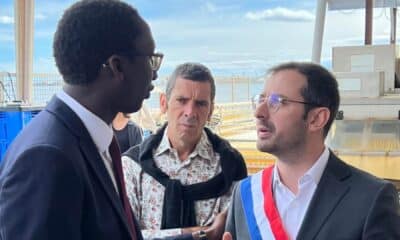 Filière ostréicole en détresse : Aurélie Lopez Liguori demande une aide exceptionnelle