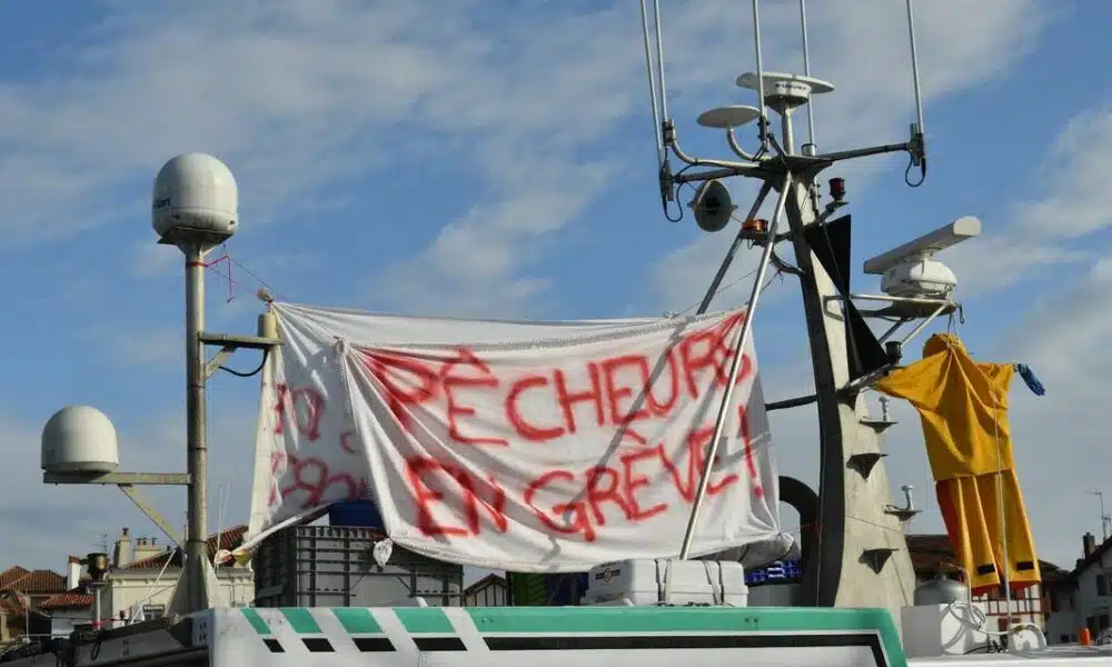 Sète : les marins pêcheurs crient leur colère face aux réglementations et à la hausse des carburants