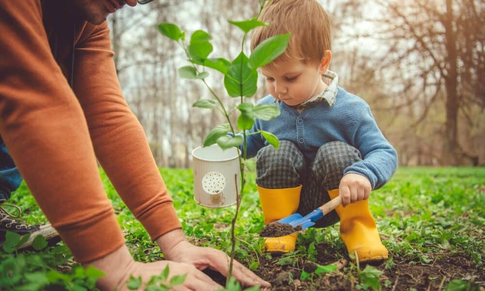 Mèze inaugure sa première forêt des naissances pour célébrer les nouveaux-nés