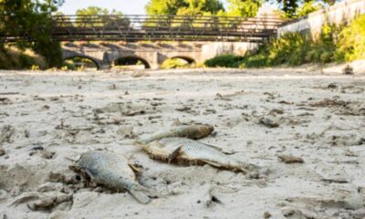 la-moitie-de-la-france-risque-de-souffrir-de-la-secheresse-cet-ete