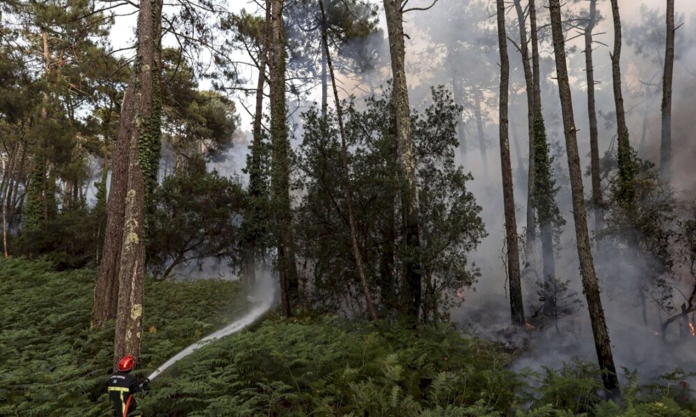 contre-les-incendies,-bechu-annonce-une-« meteo-des-forets »