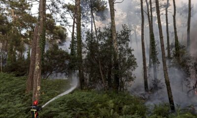 contre-les-incendies,-bechu-annonce-une-« meteo-des-forets »
