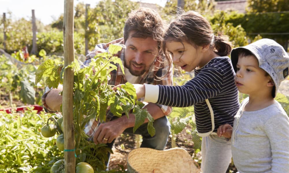 Avec la sécheresse, les Français s'orientent vers des plantes plus résistantes pour leur jardin