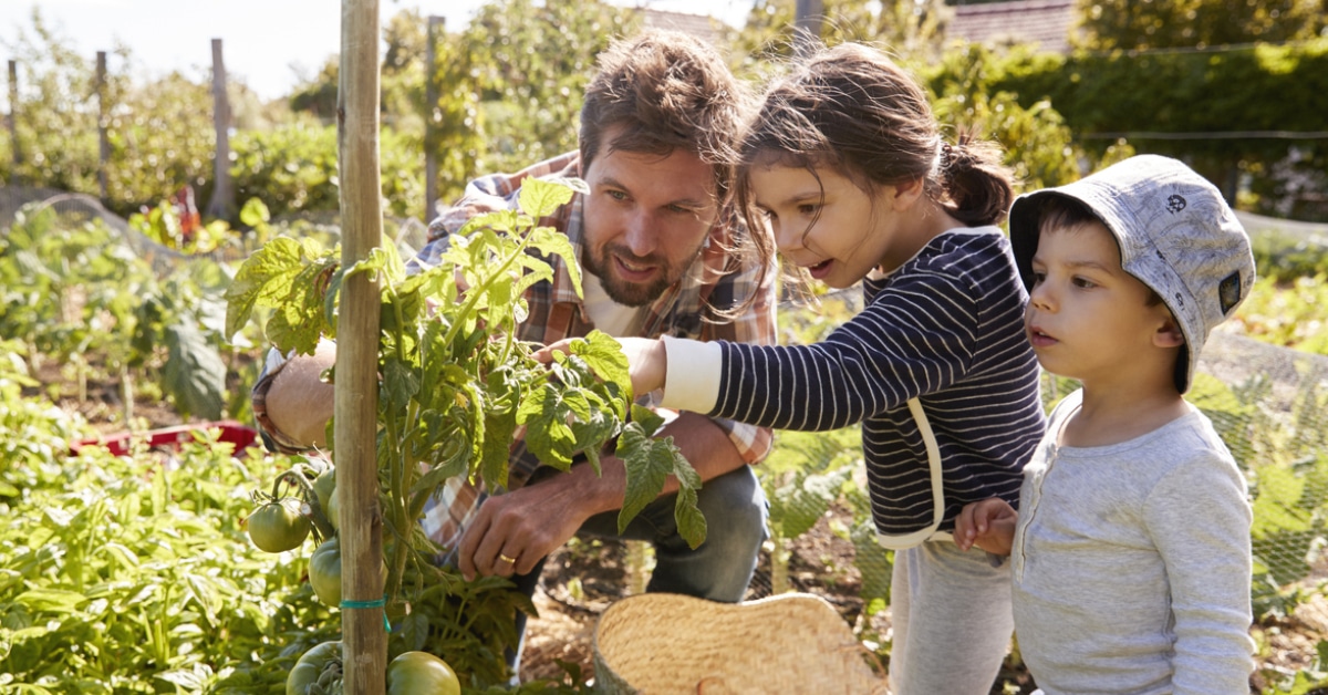 Avec la sécheresse, les Français s'orientent vers des plantes plus résistantes pour leur jardin