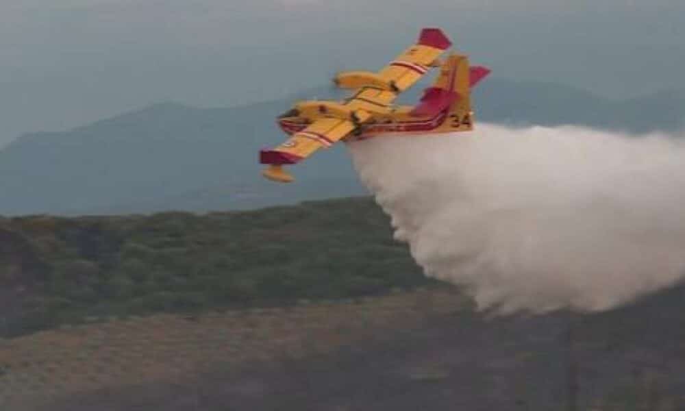 incendie-dans-les-pyrenees-orientales-:-le-feu-est-maitrise-a-argeles-sur-mer,-30-hectares-ravages