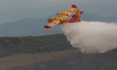 incendie-dans-les-pyrenees-orientales-:-le-feu-est-maitrise-a-argeles-sur-mer,-30-hectares-ravages