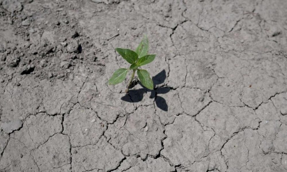 Sécheresse en France : 85 communes touchées par des pénuries d'eau