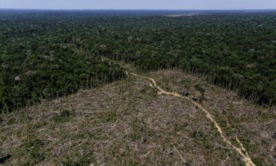 Amazonie : le président brésilien Lula annonce un nouveau plan contre la déforestation