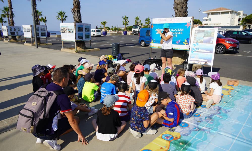 Mèze : Quand le port devient une classe de sciences naturelles pour les écoliers