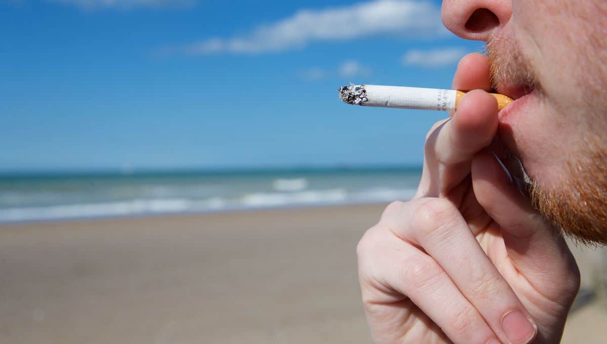 Tabac: l'interdiction de fumer va être étendue aux plages, parcs et abords de lieux publics