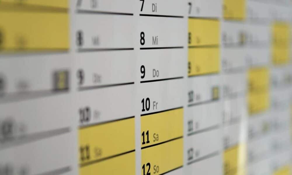 Calendriers de l'année 1996 en vogue sur Internet en ce début d'année bissextile