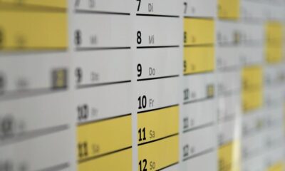 Calendriers de l'année 1996 en vogue sur Internet en ce début d'année bissextile