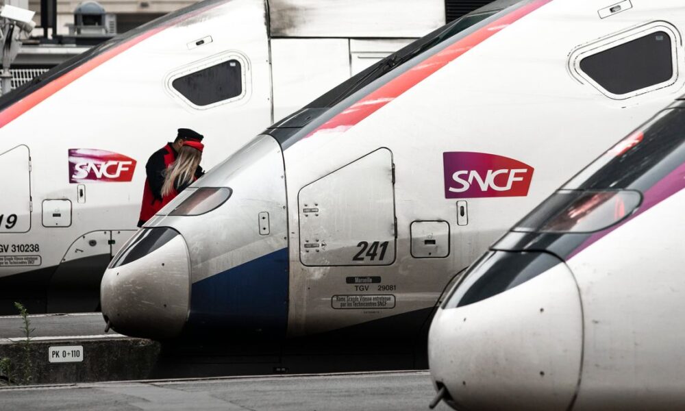 Grève à la SNCF ce week-end : le trafic fortement perturbé, un TGV sur deux prévu