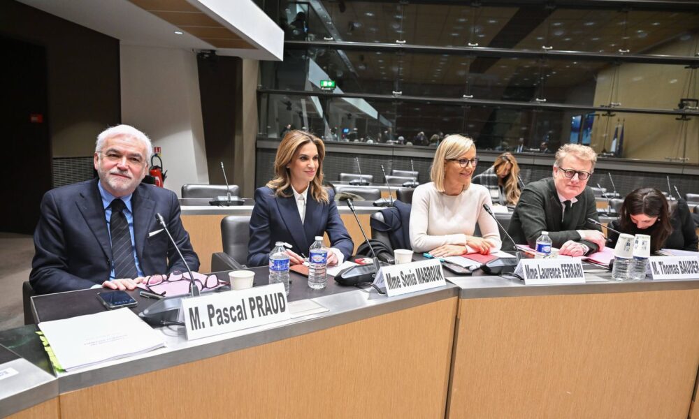 Audition musclée à la commission d'enquête sur les fréquences TNT : CNews et Canal+ sur la sellette