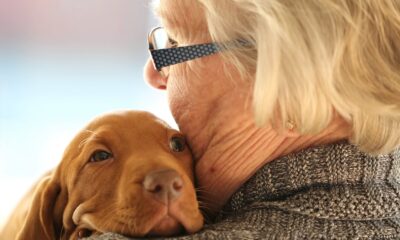 Les Ehpad ouverts aux animaux de compagnie : le gouvernement donne un avis favorable