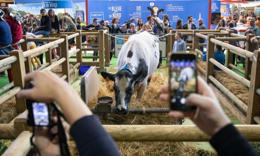 Salon de l'agriculture : une fréquentation en baisse cette année