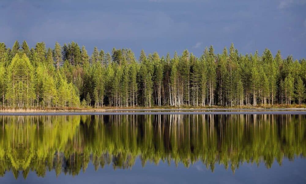 Des applications récompensent les gestes écologiques : un coup de pouce pour l'environnement et le portefeuille