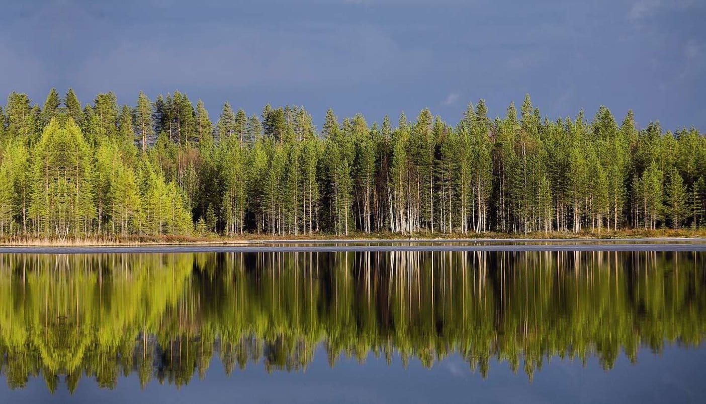 Des applications récompensent les gestes écologiques : un coup de pouce pour l'environnement et le portefeuille