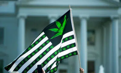 Drogue : Le cannabis va être classé comme moins dangereux aux États-Unis