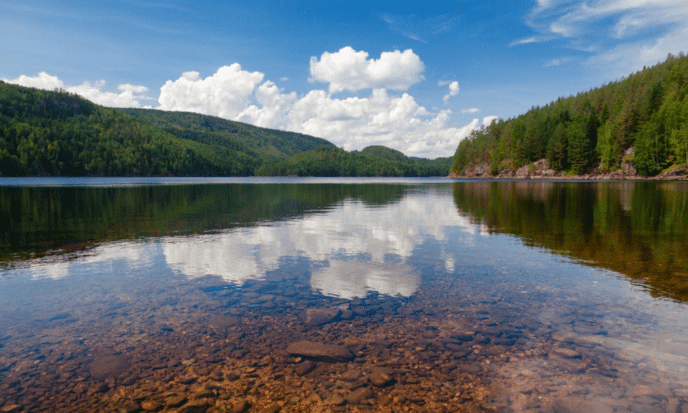 Planète : La biodiversité des rivières et plans d'eau douce en France en déclin, selon un rapport du WWF