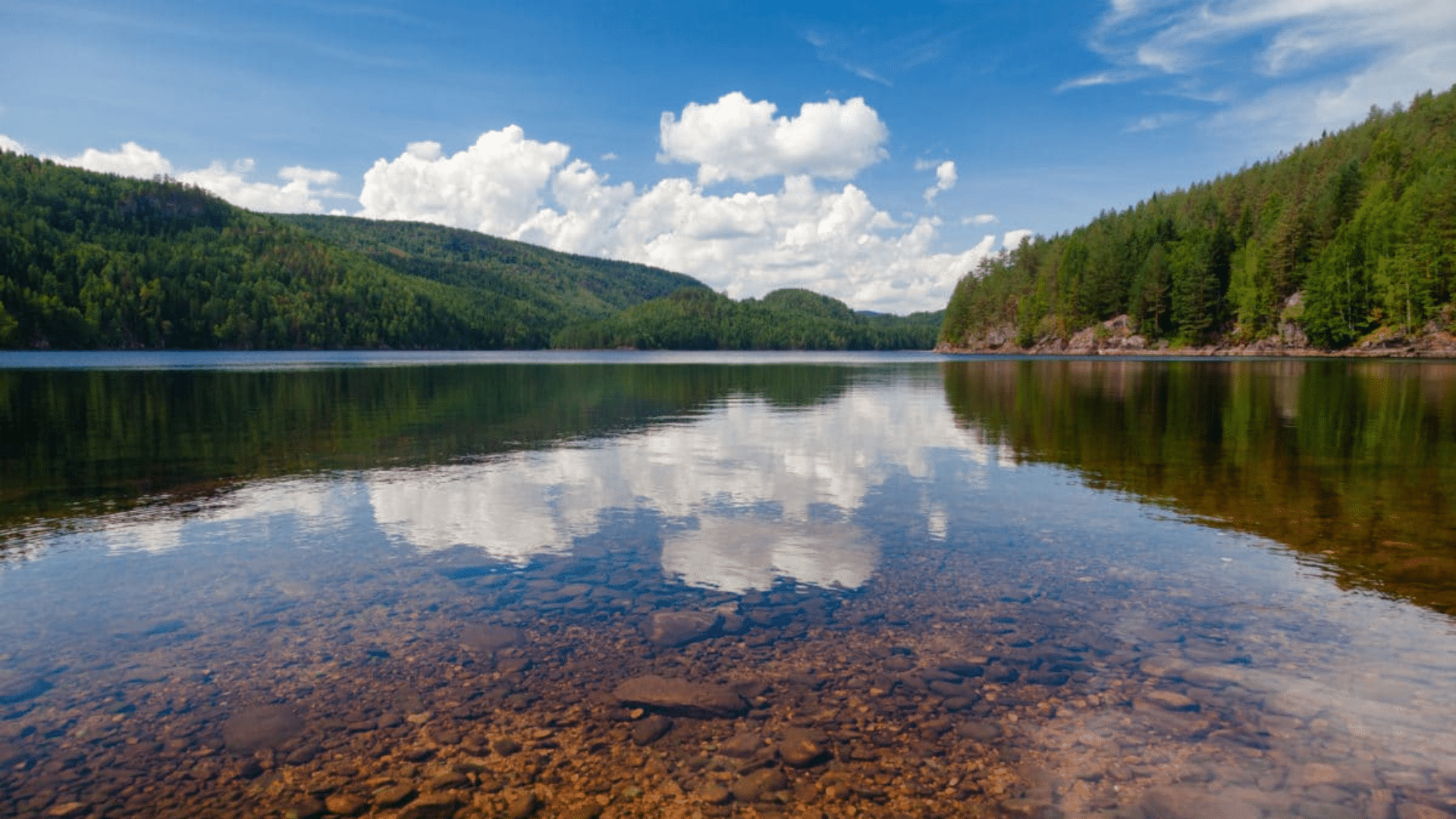 Planète : La biodiversité des rivières et plans d'eau douce en France en déclin, selon un rapport du WWF