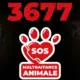 3677 : un nouveau numéro de téléphone unique pour dénoncer la maltraitance animale