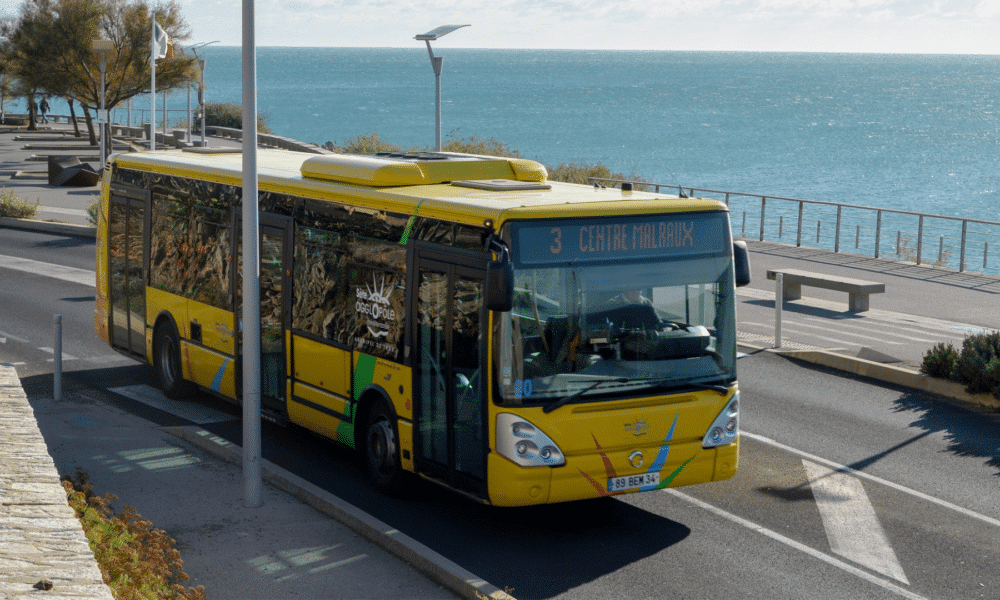 Thau : Deux chauffeurs contrôlés positifs au cannabis et à la cocaïne suspendus