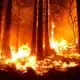 Premier gros incendie de l'année dans le sud de la France : 600 hectares brûlés