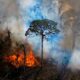 Planète : L’Amazonie connaît son pire début d’année en vingt ans en matière d’incendies