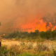 Thau - Incendie : 300 hectares brûlés, des dizaines d'habitations évacuées