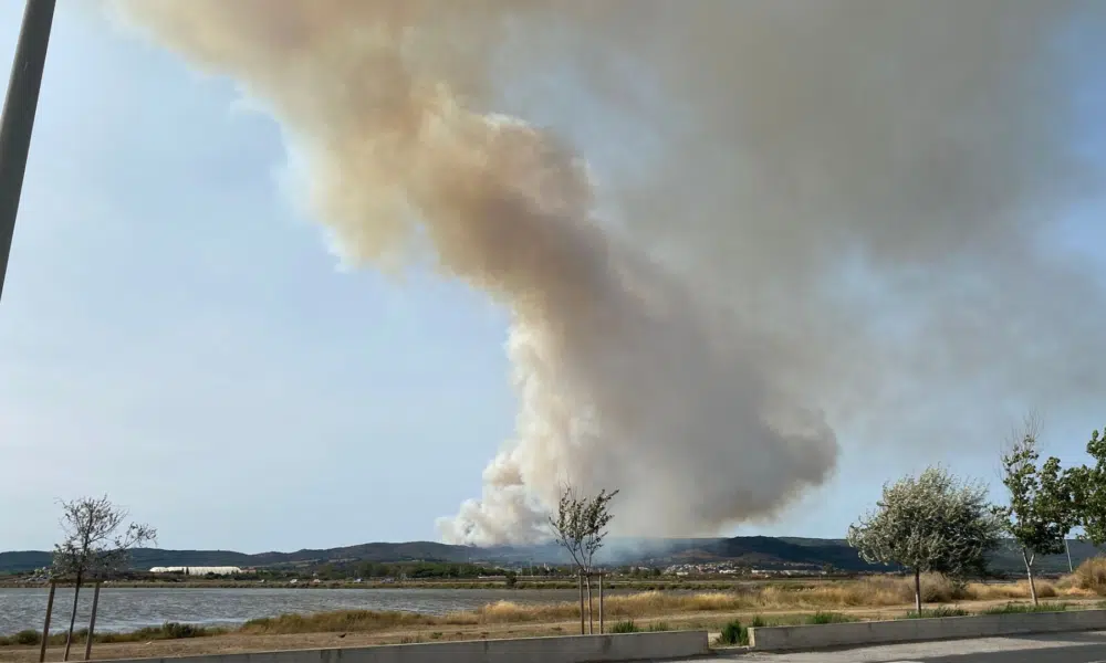 Thau - Incendie : Un important feu en cours près de l'A9, 200 hectares déjà touchés