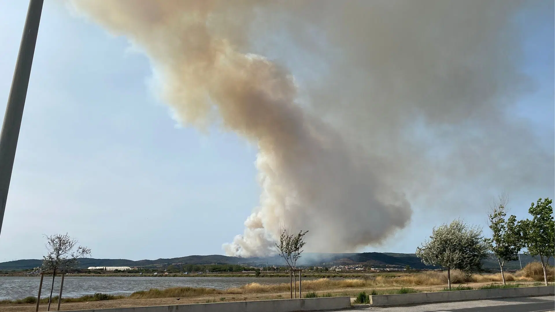 Thau - Incendie : Un important feu en cours près de l'A9, 200 hectares déjà touchés