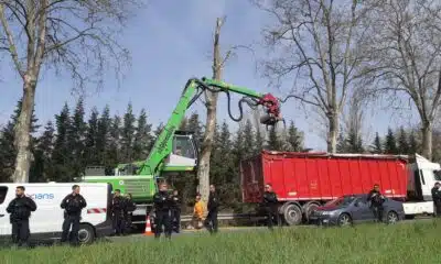 A69: près de 60 arbres abattus, malgré la présence d'opposants