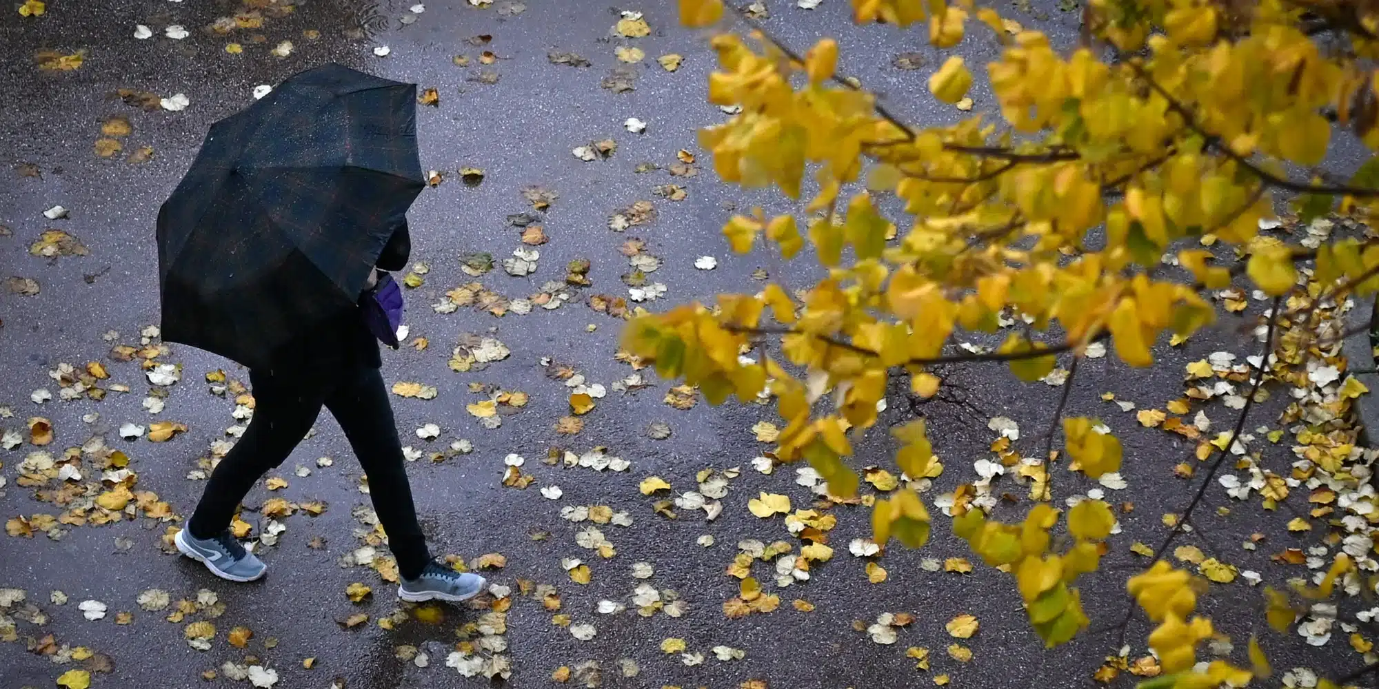 Météo : octobre commence sous la grisaille et la pluie sur la moitié du pays