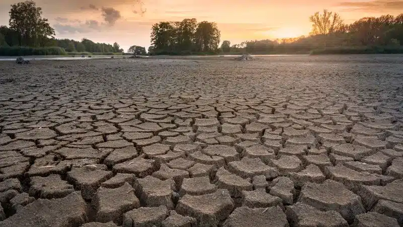 À deux semaines de la COP29, l’ONU lance un nouvel avertissement face à l’inaction climatique