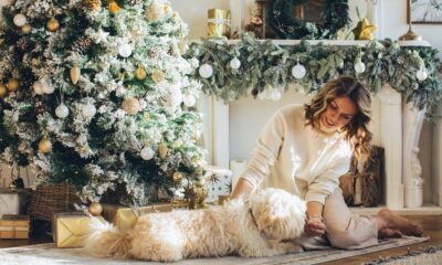 Gâter ses animaux à Noël, une tendance qui perdure